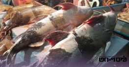 পৌষসংক্রান্তিতে শেরপুরের ঐতিহ্যবাহী মাছের মেলা